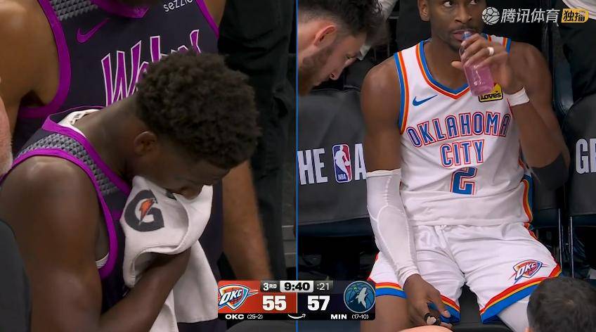 PG电子-森林狼队阵容